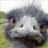 kumpinho